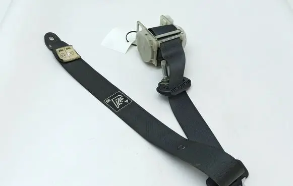 Chrysler 300 - 300C Rear seatbelt 2022121