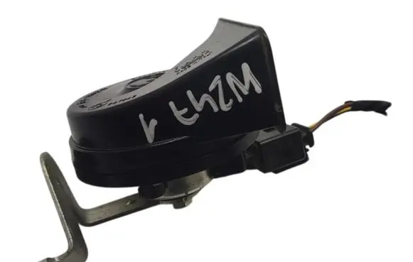 Horn signal