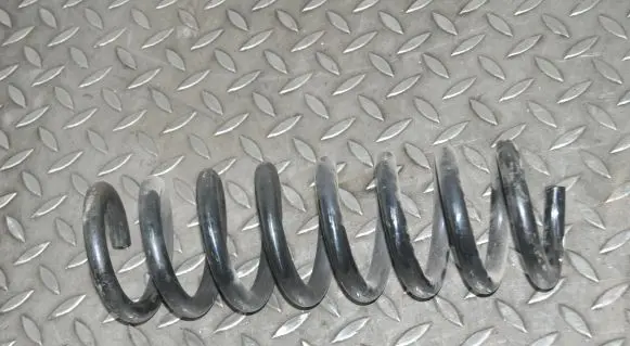 Rear coil spring