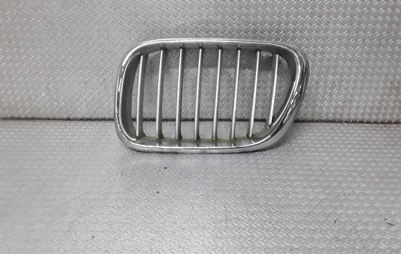 BMW X5 E53 Front bumper upper radiator grill