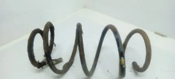 Fiat 500 Front coil spring