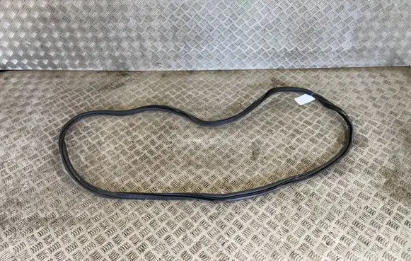 Volkswagen Tiguan Rubber seal front door (on door) 5NA867912B