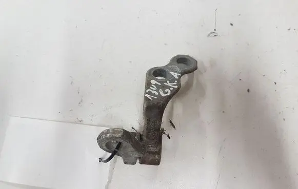 Ford Focus Rear door lower hinge