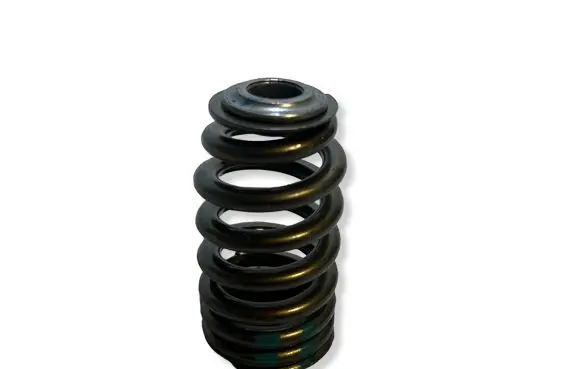 Dodge Challenger Valve spring 