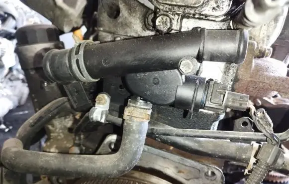 Volkswagen Golf IV Engine coolant pipe/hose 038121133