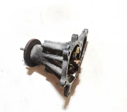 Nissan Pathfinder R51 Water pump
