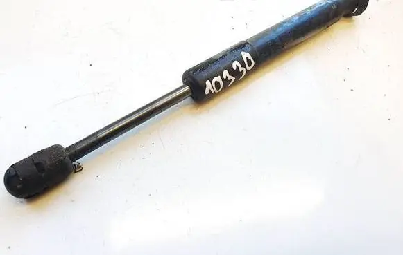 Tailgate/trunk strut/damper