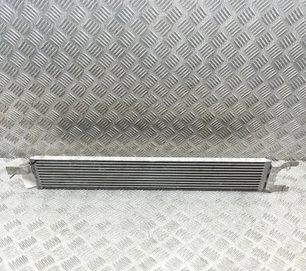 Renault Trafic III (X82) Coolant radiator 214503406R RZ395001