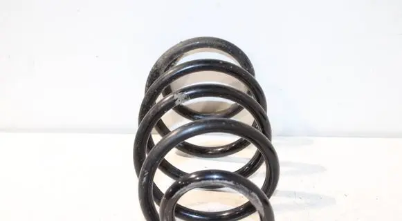 Front coil spring