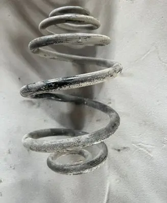 Rear coil spring