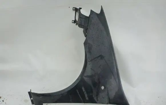 Fiat Punto (199) Fender