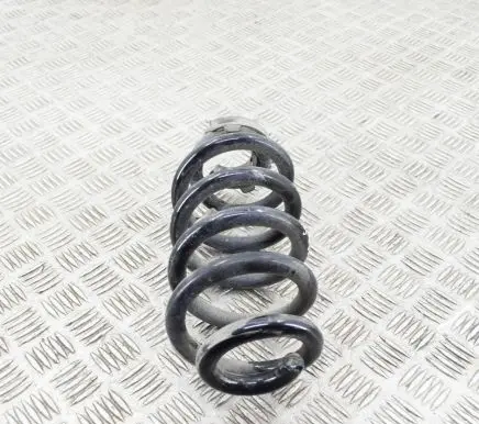 Volkswagen ID.4 Rear coil spring 1EA511103H