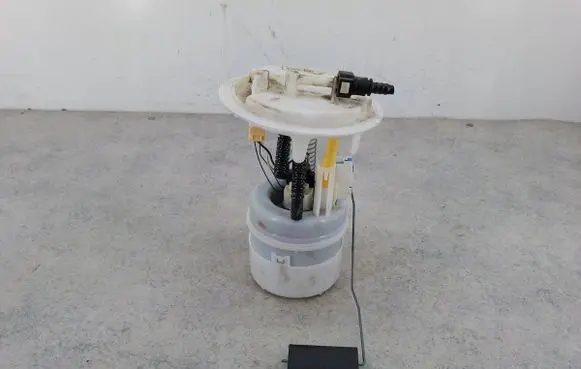 Citroen C3 In-tank fuel pump 