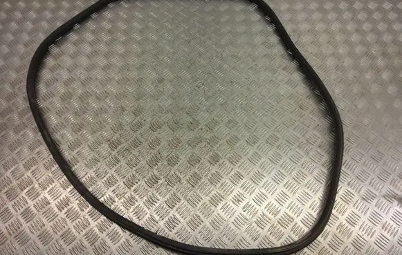 BMW X1 F48 F49 Rear door rubber seal (on body) 7349665