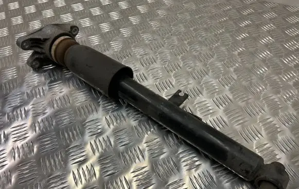 Rear shock absorber/damper
