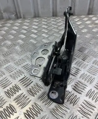Mercedes-Benz GLC C253 Engine bonnet/hood hinges 094218 317183596W