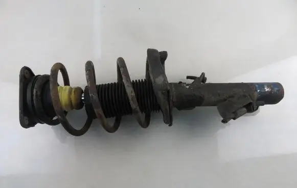 Ford Focus C-MAX Front shock absorber with coil spring