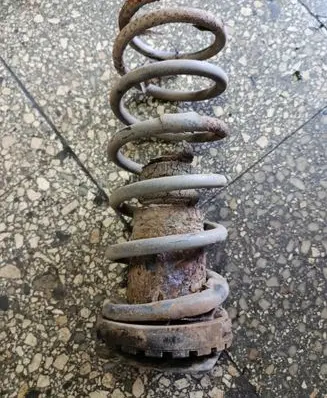 Rear coil spring