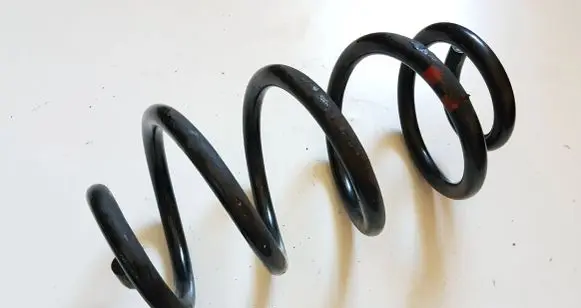 Nissan Qashqai Rear coil spring 55020JD02A
