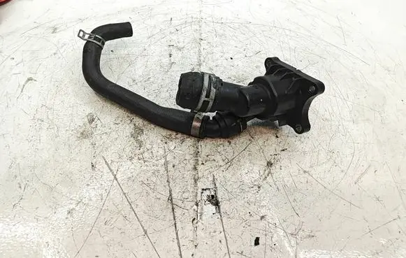 Thermostat/thermostat housing