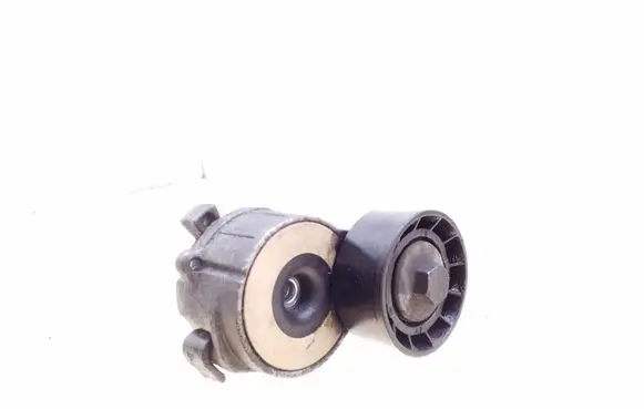 Peugeot Partner Alternator belt tensioner 541273
