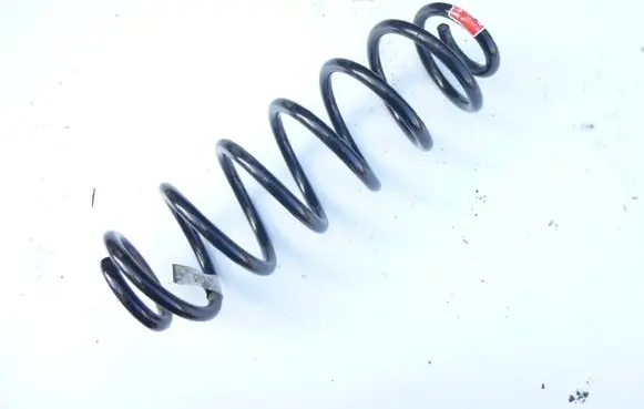 Rear coil spring