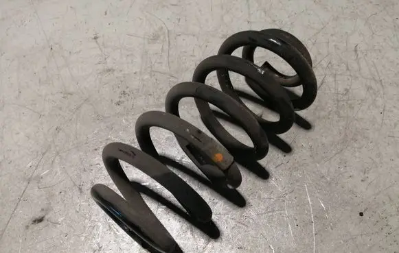 Buick Encore I Rear coil spring 95174968
