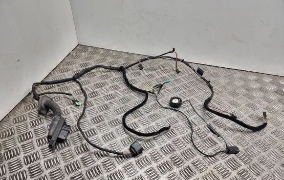 BMW 5 E60 E61 Front door wiring loom 6966545 14206010