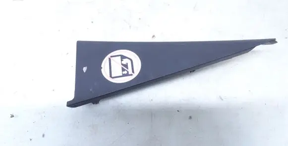 Other rear door trim element