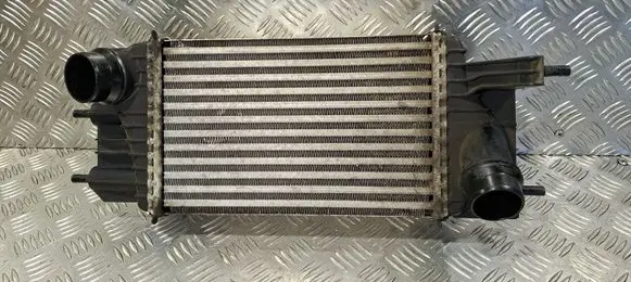 Nissan Juke I F15 Intercooler radiator 144611KB2A