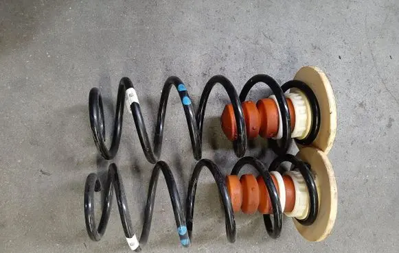 Rear coil spring