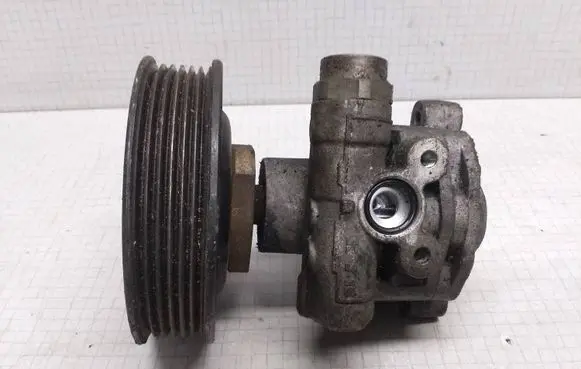 Volkswagen Golf V Power steering pump 030145269A