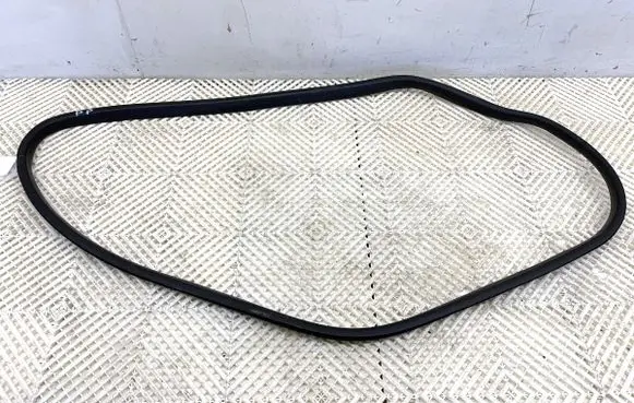 Renault Megane IV Rubber seal front door (on door) 