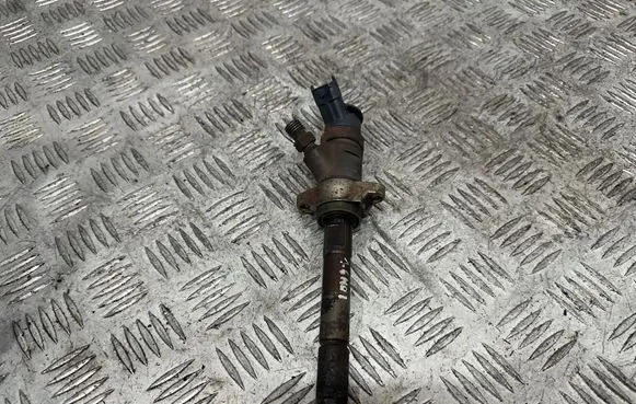 Peugeot Partner Fuel injector 0445110311