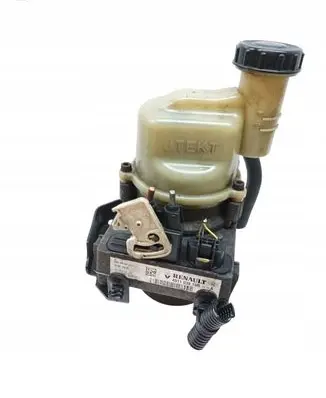 Dacia Dokker Power steering pump 491103919R