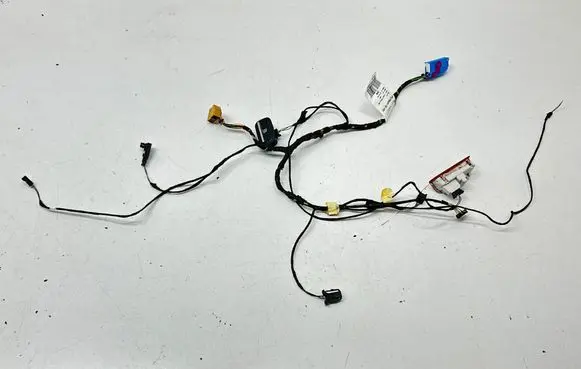 Porsche Cayenne (92A) Front door wiring loom 7P5971121DK 07032014 TAB016792A