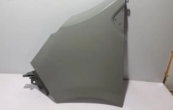 Renault Trafic III (X82) Fender 631018862R