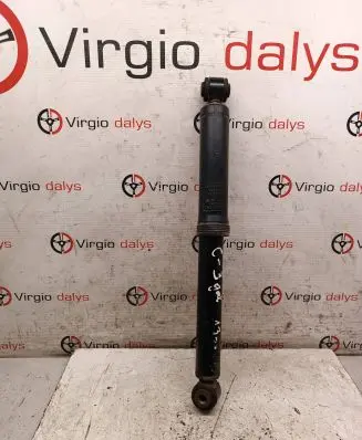 Citroen C3 Front shock absorber/damper 9673896880 22246940