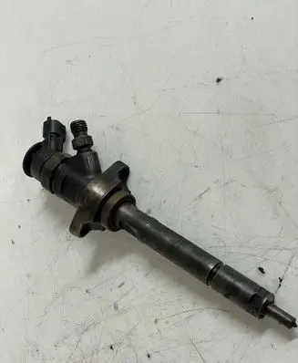 Citroen C4 I Picasso Fuel injector 0445110297