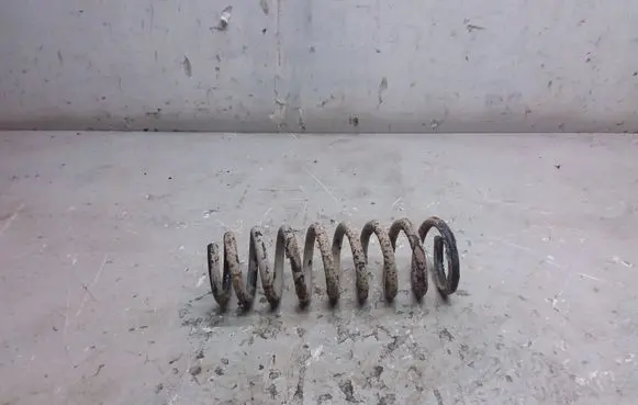 Rear coil spring