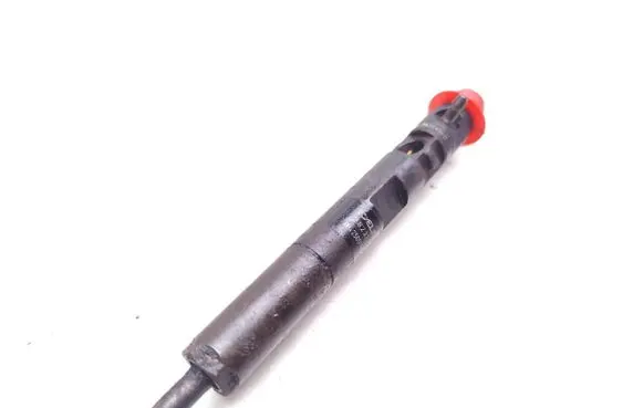 Renault Kangoo I Fuel injector 166001137R 8200421897