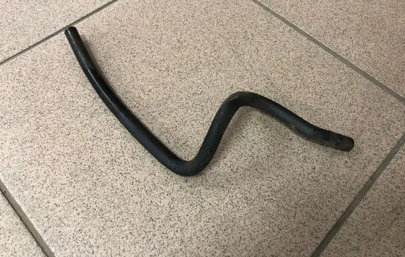 Subaru B9 Tribeca Engine coolant pipe/hose
