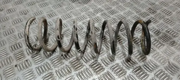 Ford Focus Rear coil spring