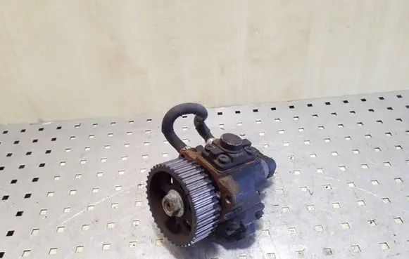 Opel Insignia A Fuel injection high pressure pump 0445010193 55571005