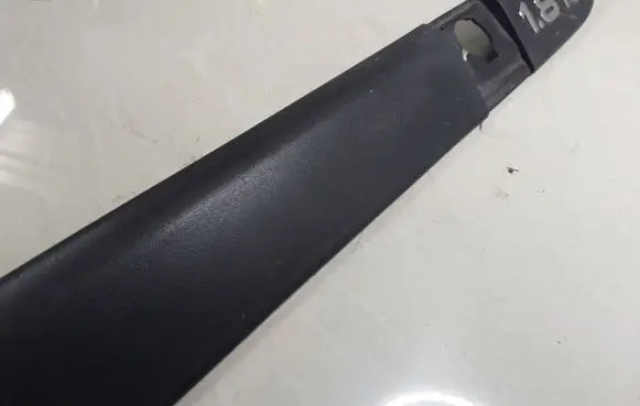 Front door trim (molding)