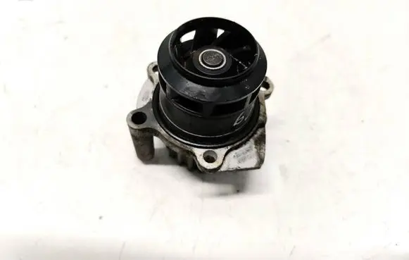 Volkswagen Caddy Water pump 1616612S