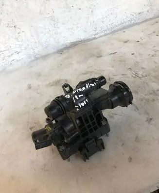 Thermostat/thermostat housing