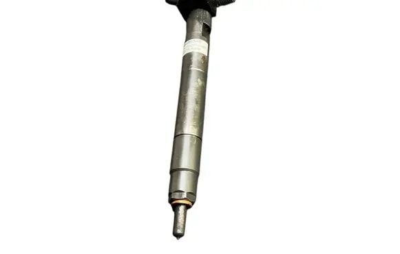 Chevrolet Captiva Fuel injector 28489548