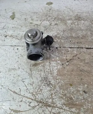 EGR valve