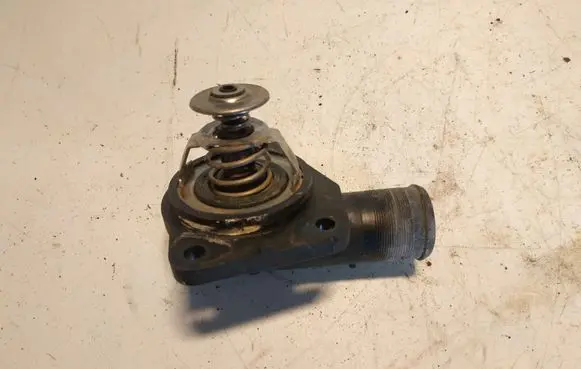 Thermostat/thermostat housing